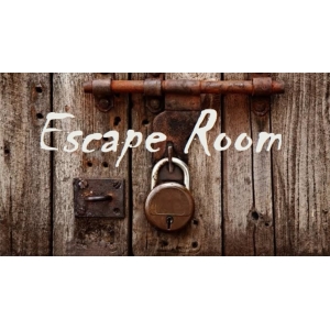 Kinderfeestje Escape room Egypte vanaf 9 jaar tot 13 jaar.